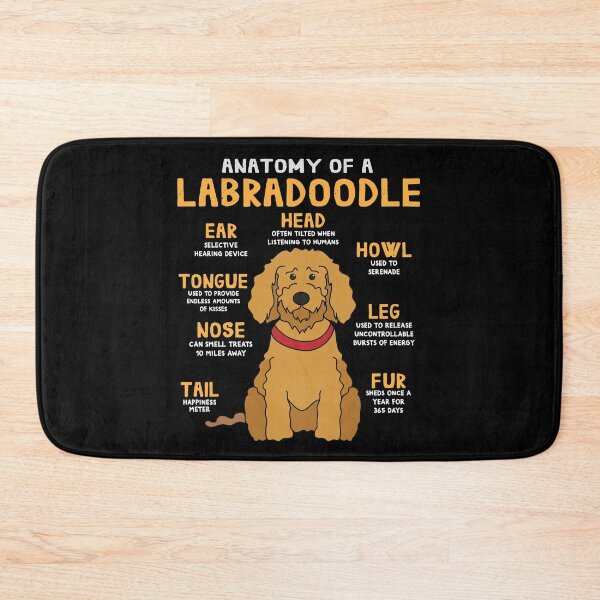 Item preview, Anatomy of Labradoodle Dog designed and sold by rafaeltto.