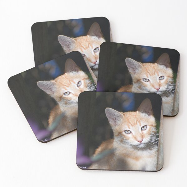 Item preview, Cute kitten designed and sold by DylanAndDot.
