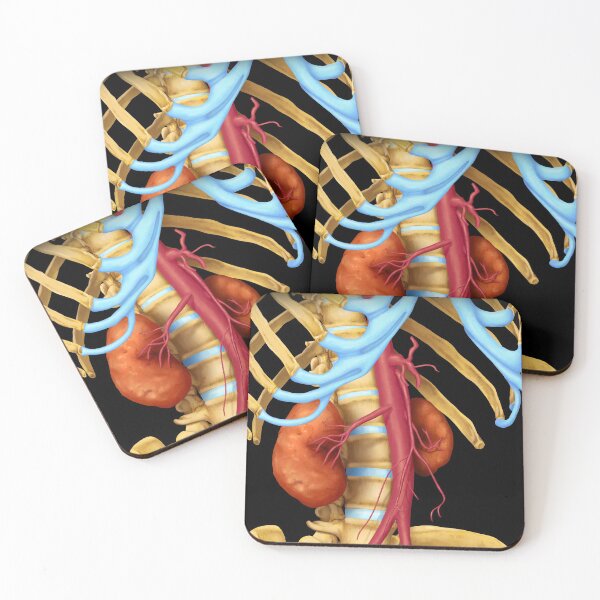 Item preview, Abdominal Aorta designed and sold by bcahillart24.