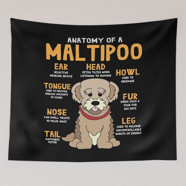 Item preview, Anatomy of Maltipoo Dog designed and sold by rafaeltto.