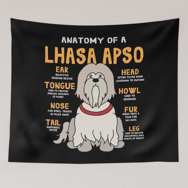 Item preview, Anatomy of Lhasa Apso Dog designed and sold by rafaeltto.
