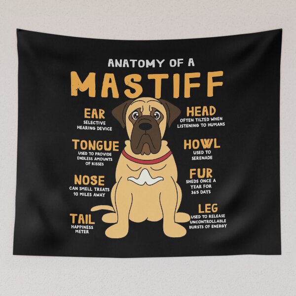 Item preview, Anatomy of Mastiff Dog designed and sold by rafaeltto.