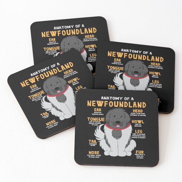Item preview, Anatomy of Newfoundland Newfie Dog designed and sold by rafaeltto.