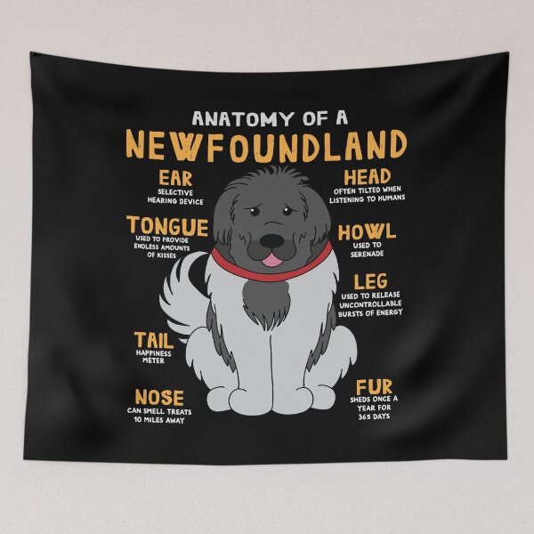 Item preview, Anatomy of Newfoundland Newfie Dog designed and sold by rafaeltto.