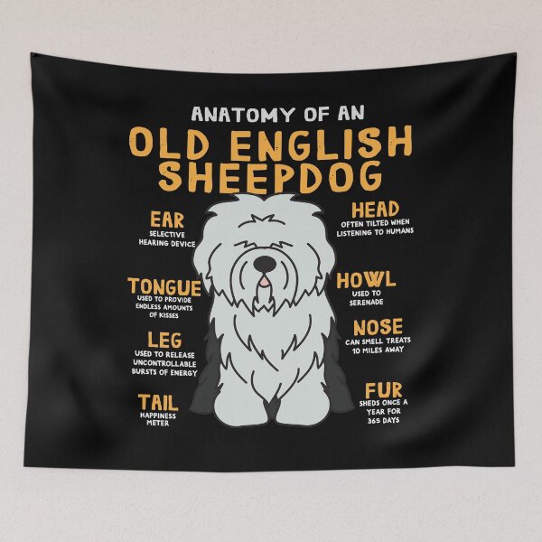 Item preview, Anatomy of Old English Sheepdog Dog designed and sold by rafaeltto.