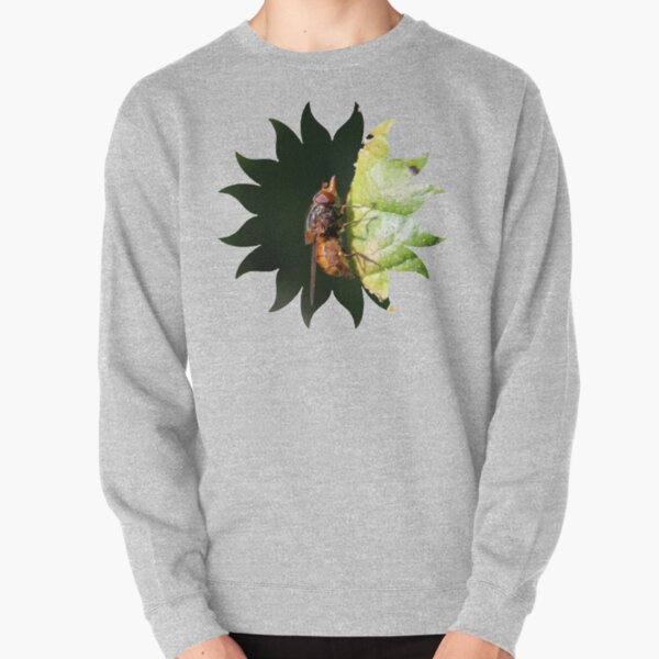 Why the Long Nose? Pullover Sweatshirt