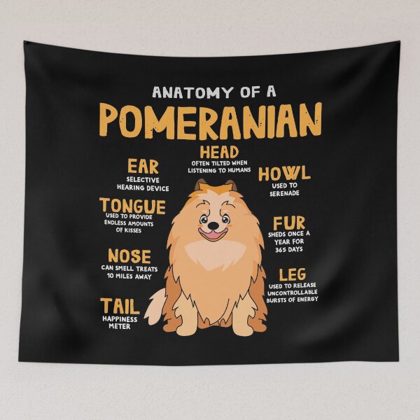 Artikelvorschau, Anatomy of Pomeranian Dog entworfen und verkauft von rafaeltto.