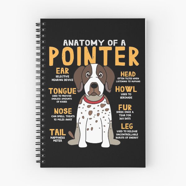 Item preview, Anatomy of Pointer Dog designed and sold by rafaeltto.