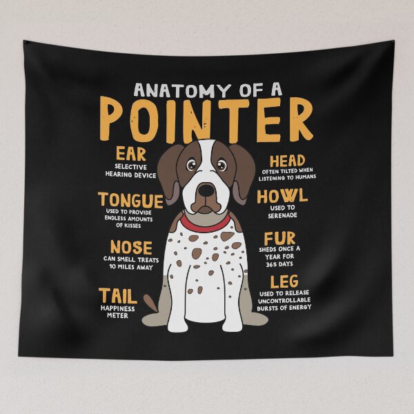 Item preview, Anatomy of Pointer Dog designed and sold by rafaeltto.