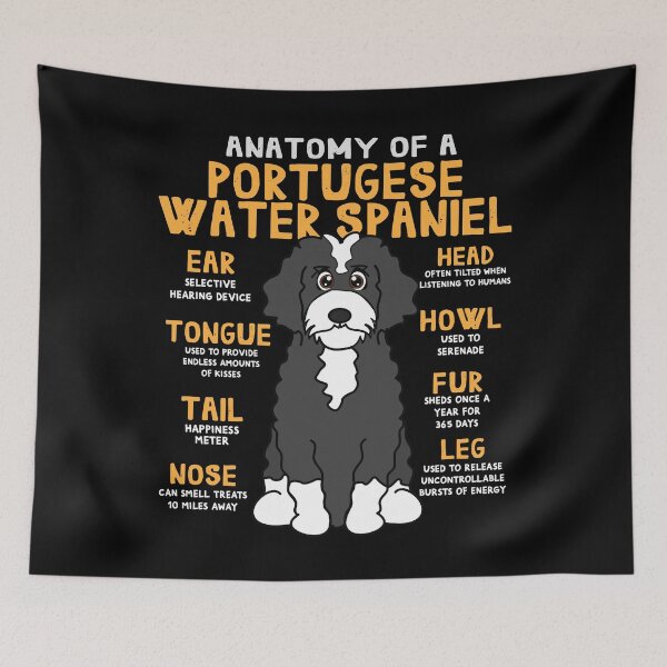 Item preview, Anatomy of Portugese Water Spaniel Dog designed and sold by rafaeltto.