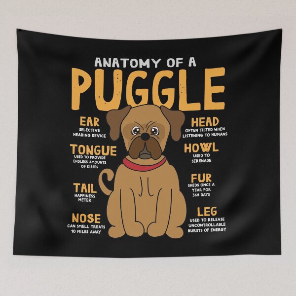 Item preview, Anatomy of Puggle Dog designed and sold by rafaeltto.