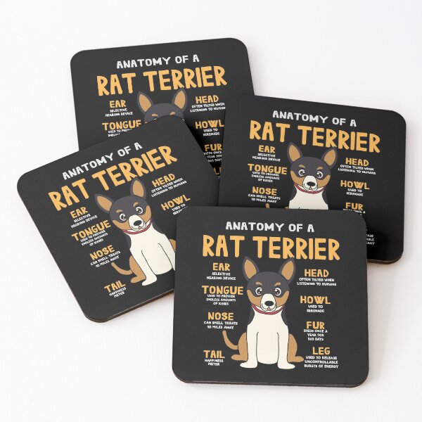 Item preview, Anatomy of Rat Terrier Dog designed and sold by rafaeltto.