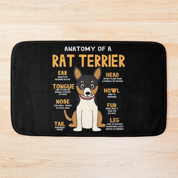 Artikelvorschau, Anatomy of Rat Terrier Dog entworfen und verkauft von rafaeltto.