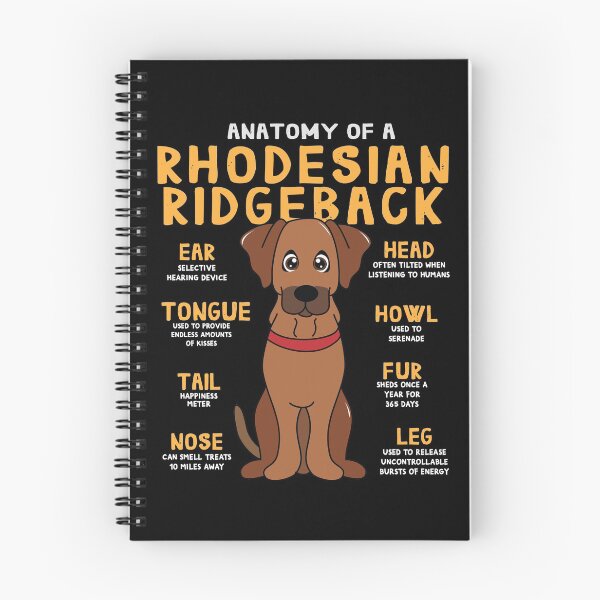 Item preview, Anatomy of Rhodesian Ridgeback Dog designed and sold by rafaeltto.
