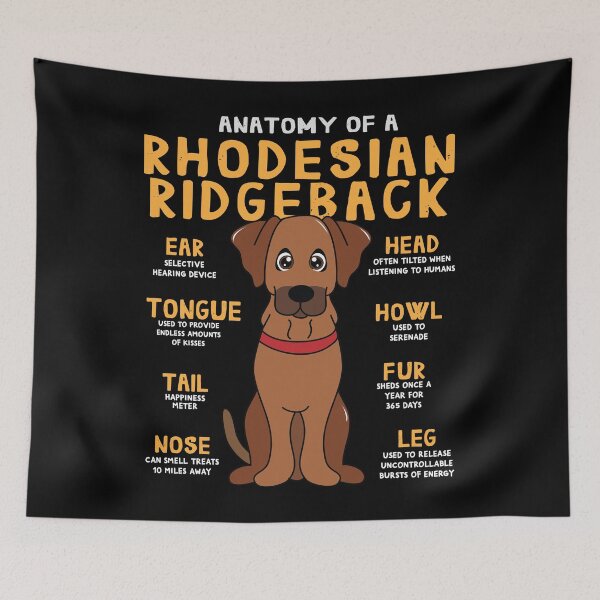 Item preview, Anatomy of Rhodesian Ridgeback Dog designed and sold by rafaeltto.