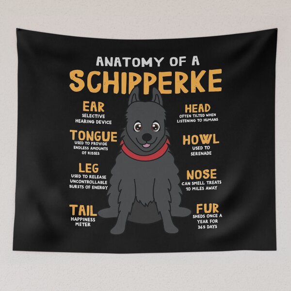Item preview, Anatomy of Schipperke Dog designed and sold by rafaeltto.
