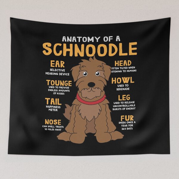 Item preview, Anatomy of Schnoodle Dog designed and sold by rafaeltto.