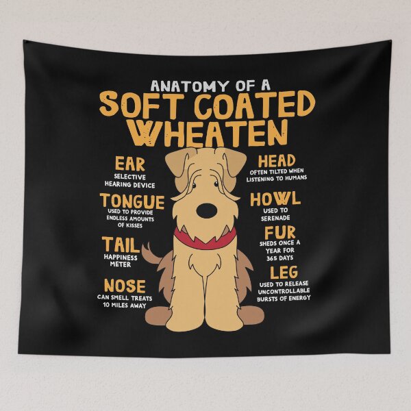 Artikelvorschau, Anatomy of Soft coated wheaten Dog entworfen und verkauft von rafaeltto.
