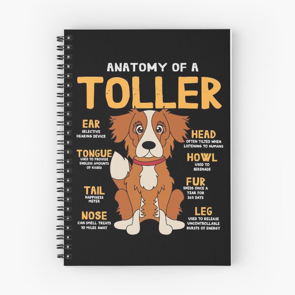 Item preview, Anatomy of Toller Dog designed and sold by rafaeltto.