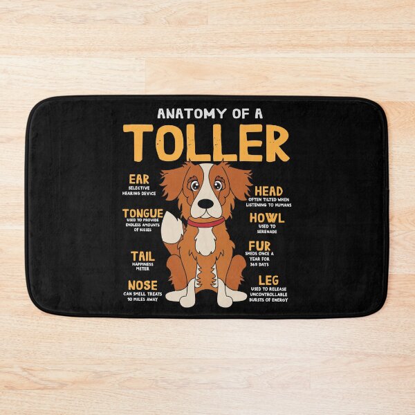 Item preview, Anatomy of Toller Dog designed and sold by rafaeltto.