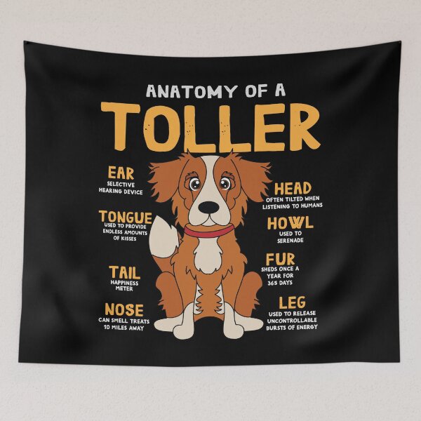 Item preview, Anatomy of Toller Dog designed and sold by rafaeltto.