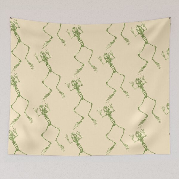 Item preview, Frog skeleton anatomy designed and sold by portokalis.