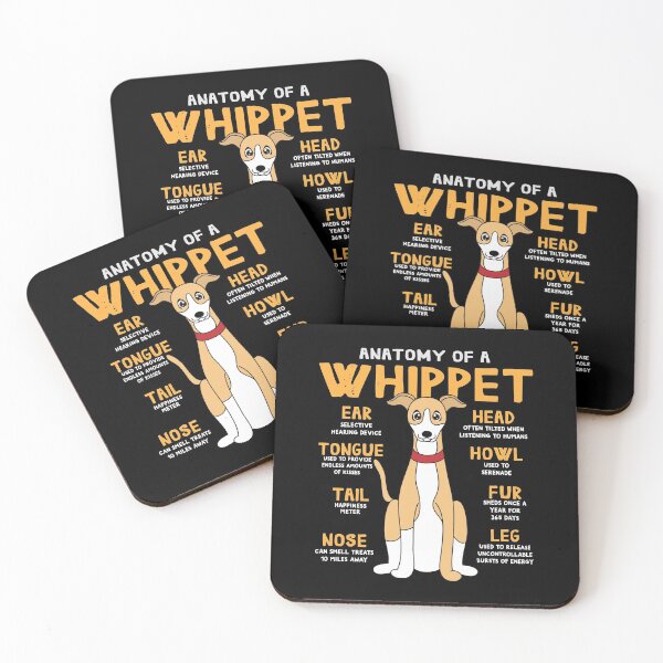 Artikelvorschau, Anatomy of Whippet Dog entworfen und verkauft von rafaeltto.