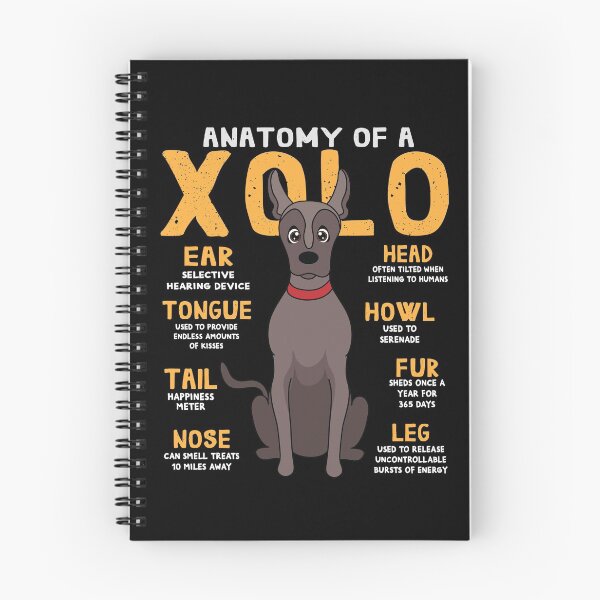Item preview, Anatomy of Xolo Dog designed and sold by rafaeltto.
