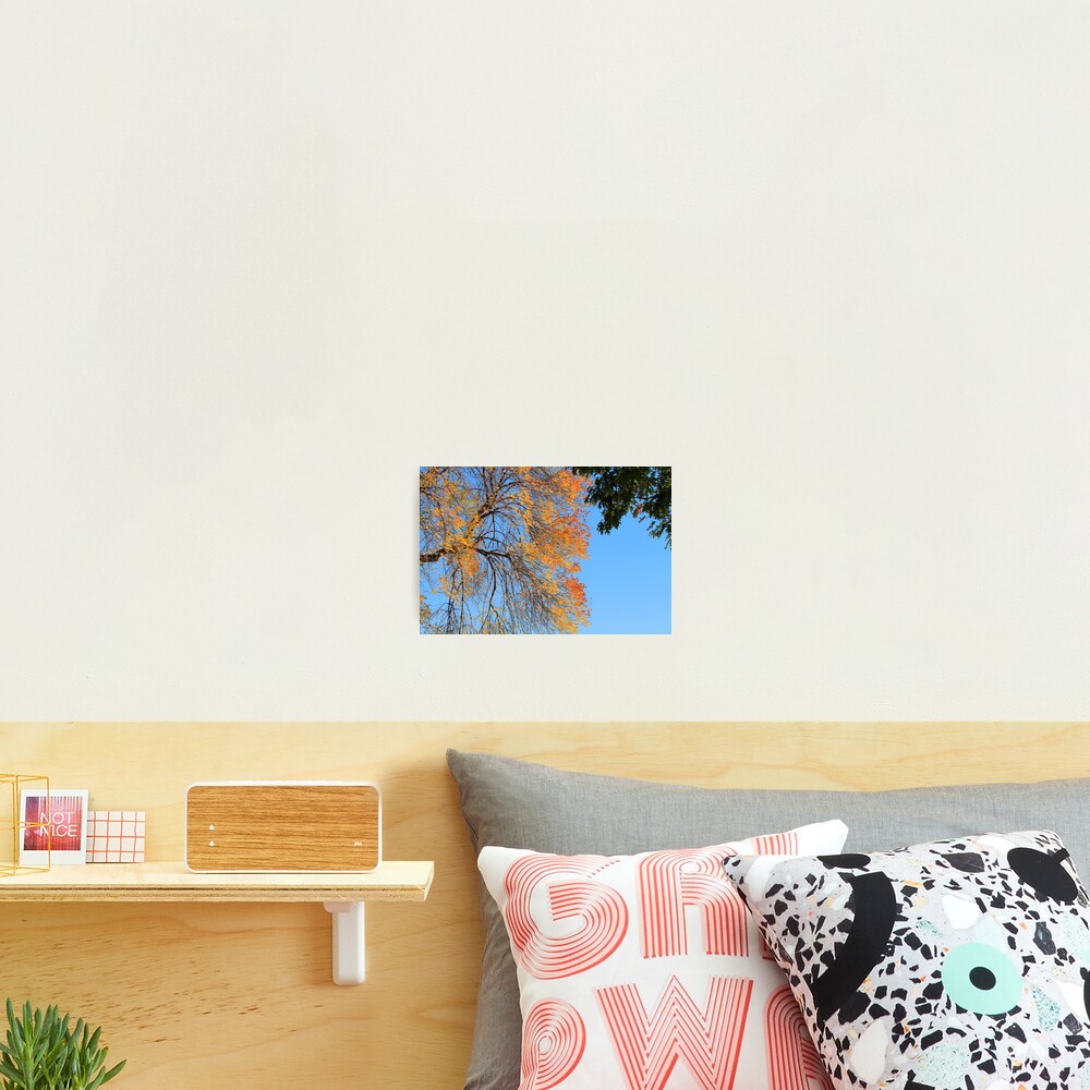 Vista previa del artículo con la obra «Lámina fotográfica», diseñado y vendido por pmarella.
