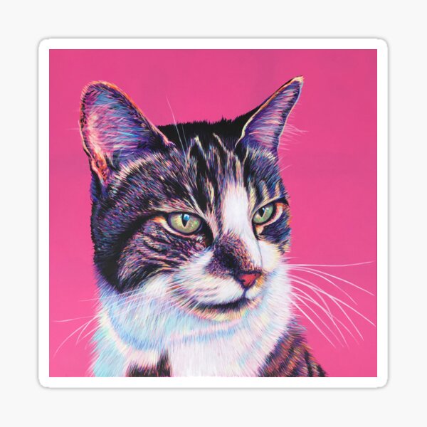 Tabby & White on Pink Sticker