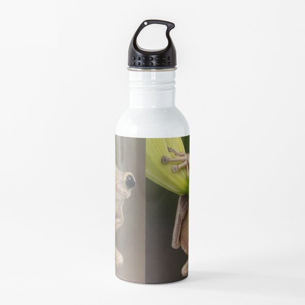 Happy Cuban tree frog Water Bottle