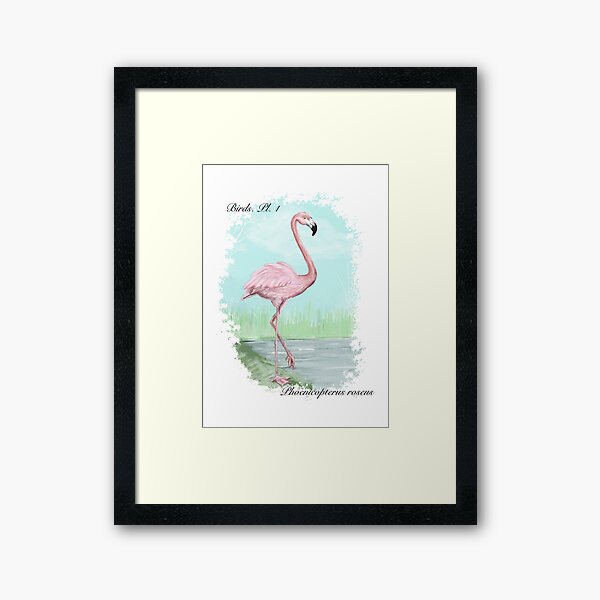 Pink Flamingo Impression encadrée
