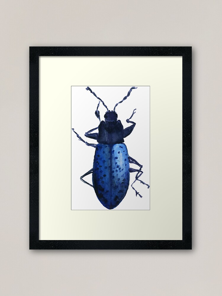 Set of framed beetle watercolor prints