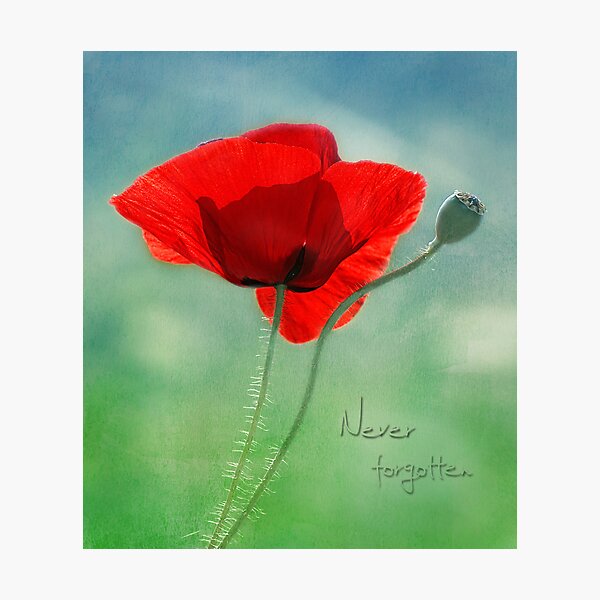 Item preview, never forgotten . . . . . . .remembrance designed and sold by Teresa Pople.