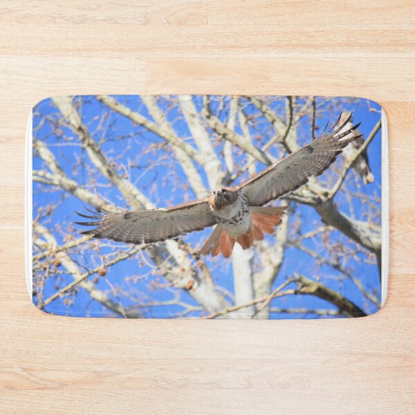 Item preview, Red-tailed Hawk in flight - "Chase your dreams" designed and sold by LJSparvero.