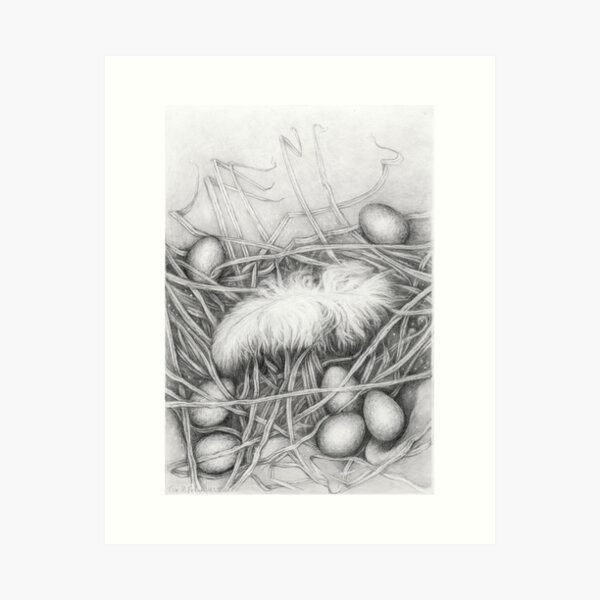 A fairy tale about a feather and eggs Art Print