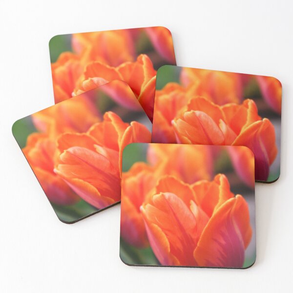 Item preview, Princess Irene Tulips designed and sold by LindaCooke.