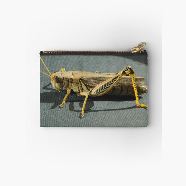 Item preview, Grasshopper designed and sold by ptosis.
