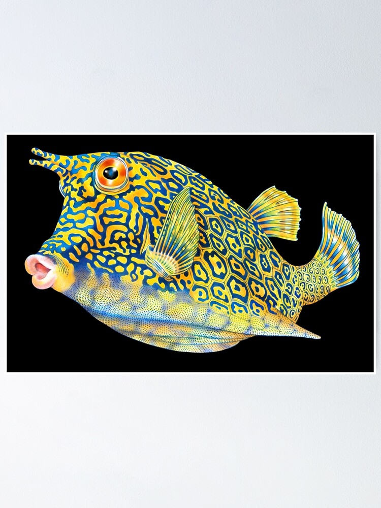 Thumbnail 1 of 3, Poster, Cowfish designed and sold by TimJeffsArt.
