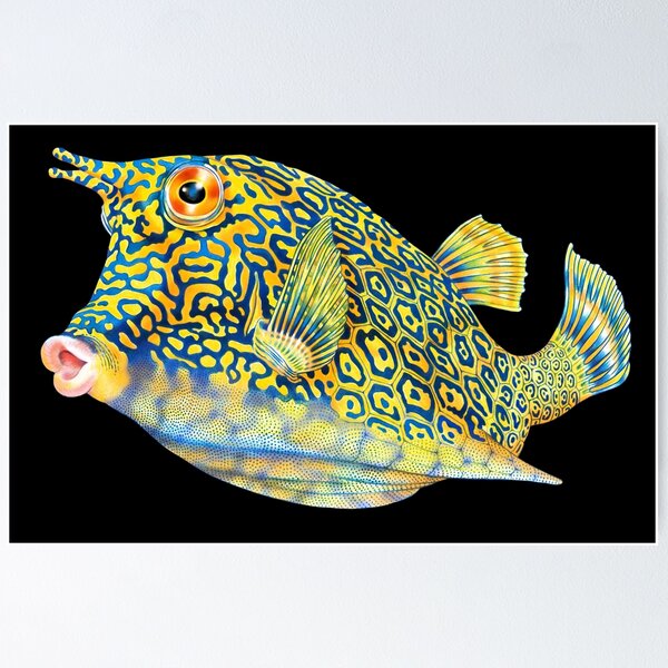 Item preview, Cowfish designed and sold by TimJeffsArt.