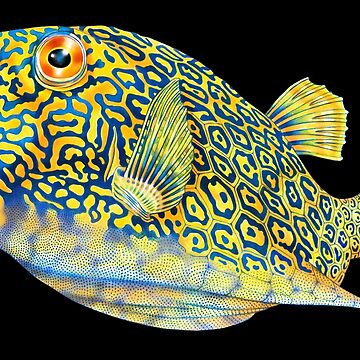 Artwork thumbnail, Cowfish by TimJeffsArt