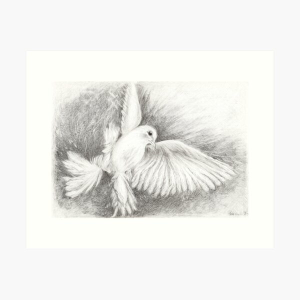 Dove Art Print