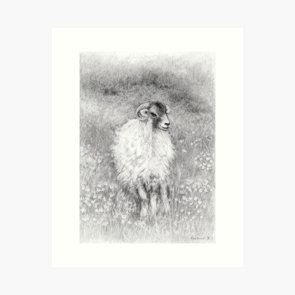 Sheep in flowery Art Print