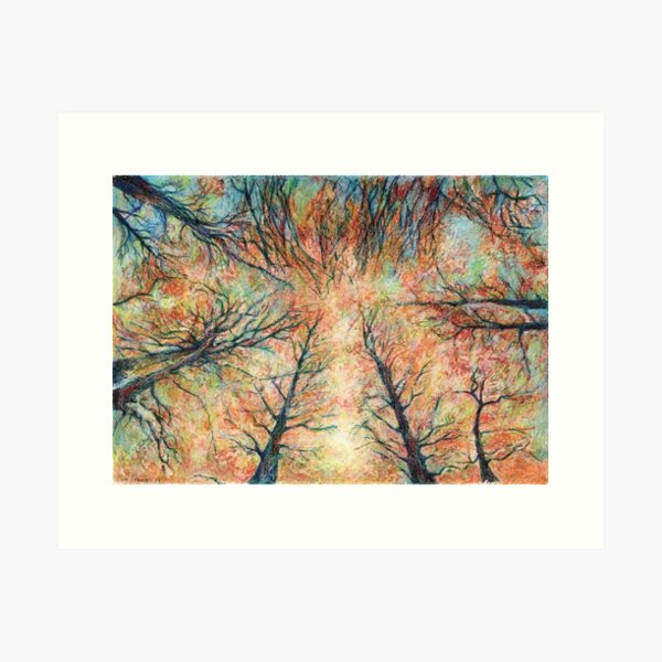 Looking at the forrest top Art Print