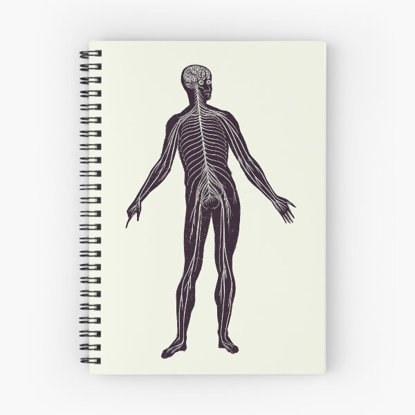 Item preview, Lymphatic System - Vintage Anatomy Poster 2 designed and sold by VAposters.