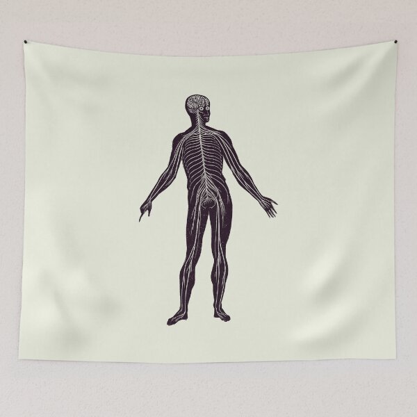 Item preview, Lymphatic System - Vintage Anatomy Poster 2 designed and sold by VAposters.