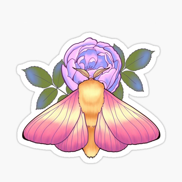 Item preview, Rosy Maple Moth designed and sold by Selador.