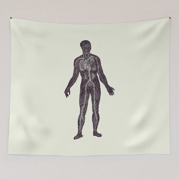 Item preview, Lymphatic and Circulatory System - Vintage Anatomy 2 designed and sold by VAposters.