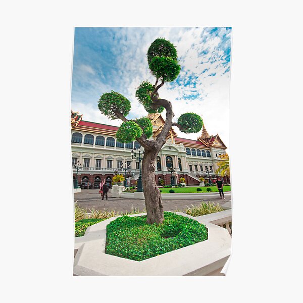 Funky Tree Poster