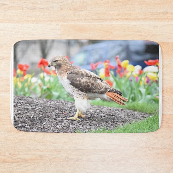 Item preview, Red-Tailed Hawk in the Tulips designed and sold by LJSparvero.